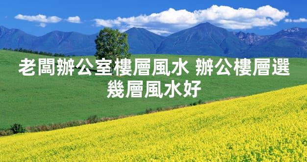 老闆辦公室樓層風水 辦公樓層選幾層風水好